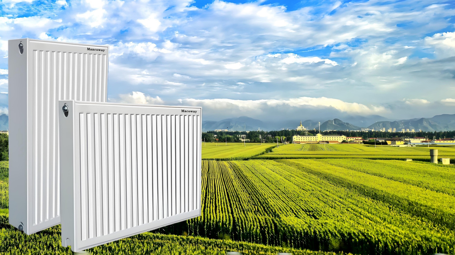 1768371158210715.jpg 726f6ef8-94e5-4da5-a752-87792fd6e033.jpg